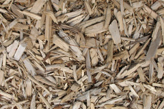 biomass boilers Maylandsea